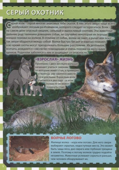 Фотография книги "Детеныши животных"