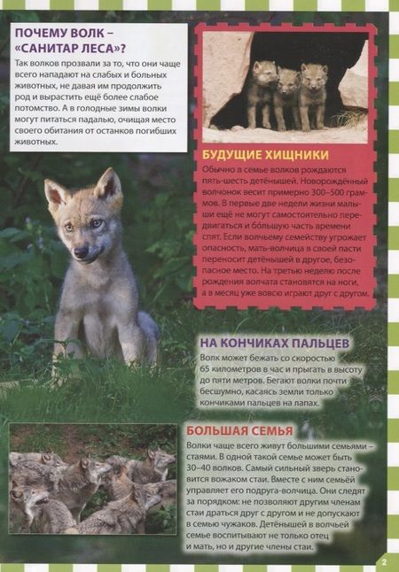 Фотография книги "Детеныши животных"