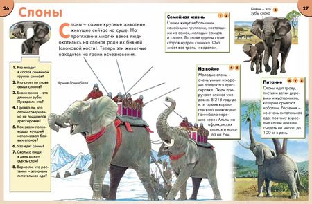 Фотография книги "Детская энциклопедия. Найди ответ"