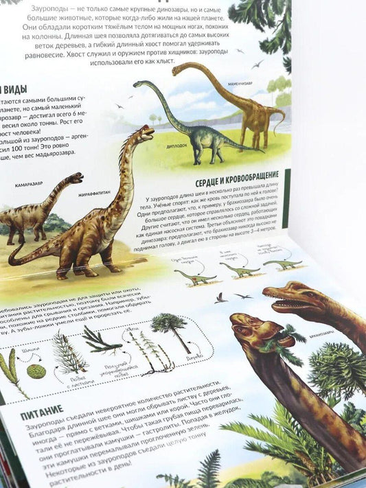 Обложка книги "Детская POP-UP энциклопедия. Динозавры. Мир доисторических животных"