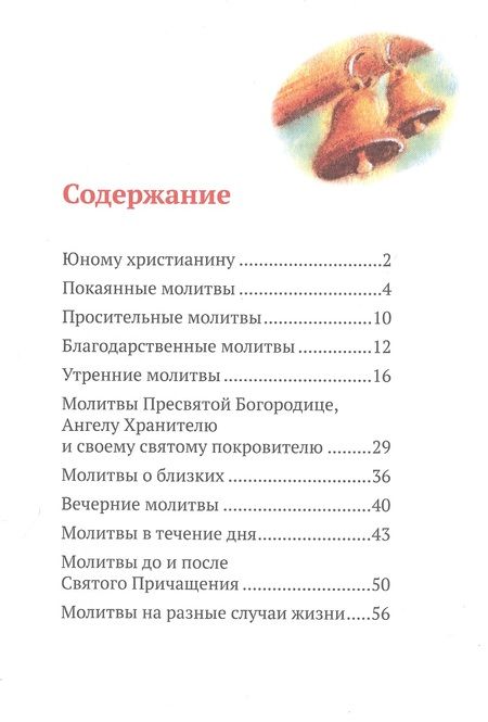 Фотография книги "Детский молитвослов. Примеры молитв своими словами. Объяснения молитв"