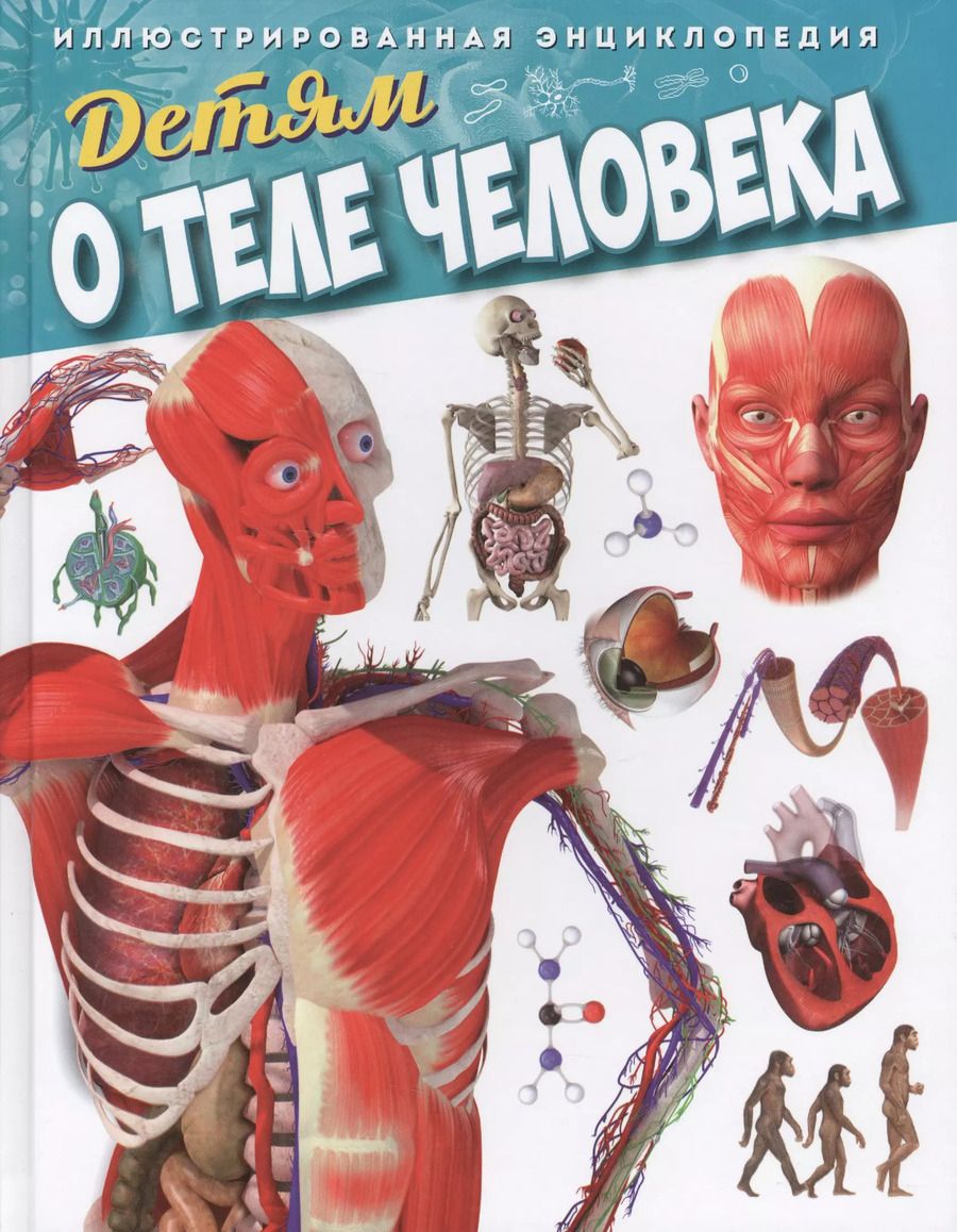 Обложка книги "Детям о теле человека. Иллюстрированная энциклопедия"