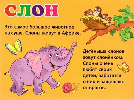 Фотография книги "Детёныши животных"