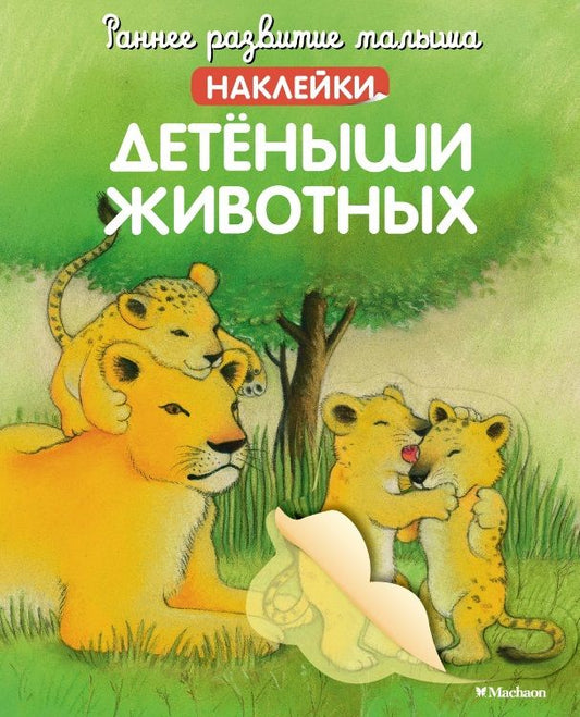 Обложка книги "Детёныши животных (с наклейками)"