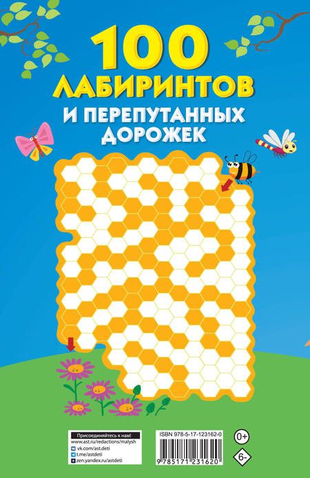 Фотография книги "Дэвид Аакер: 100 лабиринтов и перепутанных дорожек"