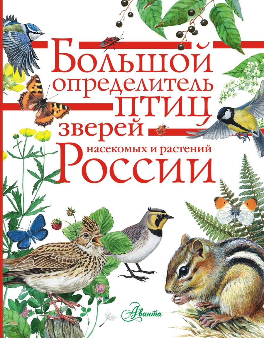 Обложка книги "Дэвид Аакер: Большой определитель зверей, амфибий, рептилий, птиц, насекомых и растений России"