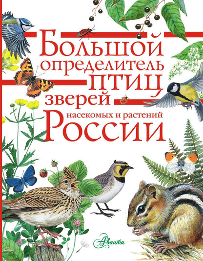 Обложка книги "Дэвид Аакер: Большой определитель зверей, амфибий, рептилий, птиц, насекомых и растений России"
