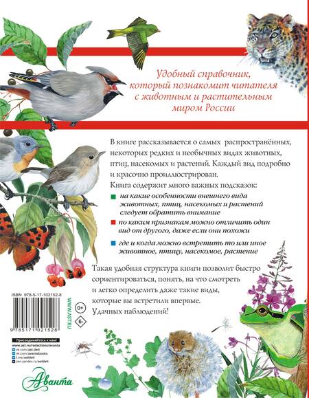 Фотография книги "Дэвид Аакер: Большой определитель зверей, амфибий, рептилий, птиц, насекомых и растений России"