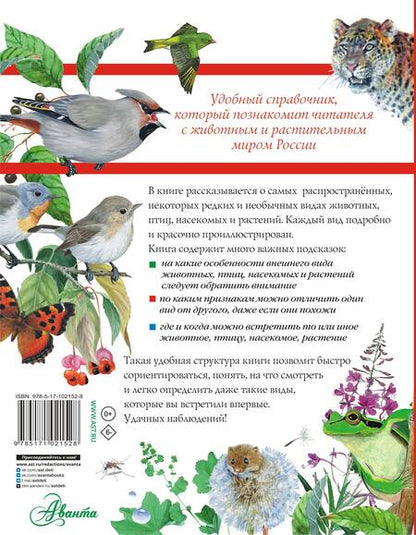 Фотография книги "Дэвид Аакер: Большой определитель зверей, амфибий, рептилий, птиц, насекомых и растений России"