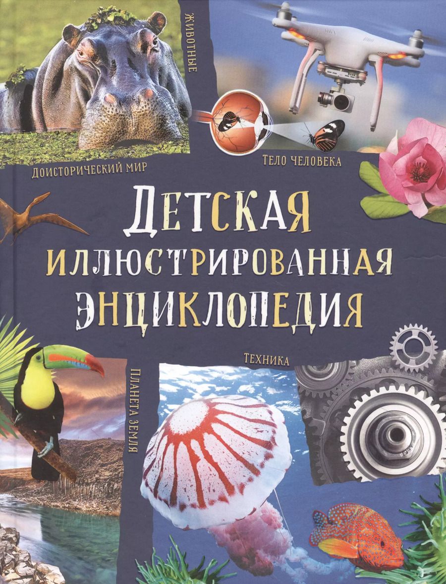 Обложка книги "Дэвид Берни: Детская иллюстрированная энциклопедия"
