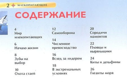 Фотография книги "Дэвид Берни: Млекопитающие"