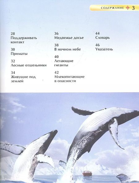 Фотография книги "Дэвид Берни: Млекопитающие"