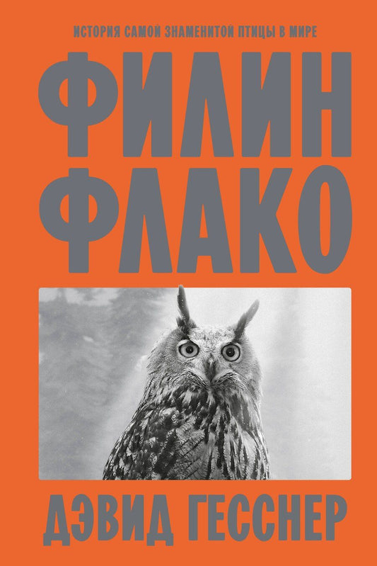 Обложка книги "Дэвид Гесснер: Филин Флако: История самой знаменитой птицы в мире"