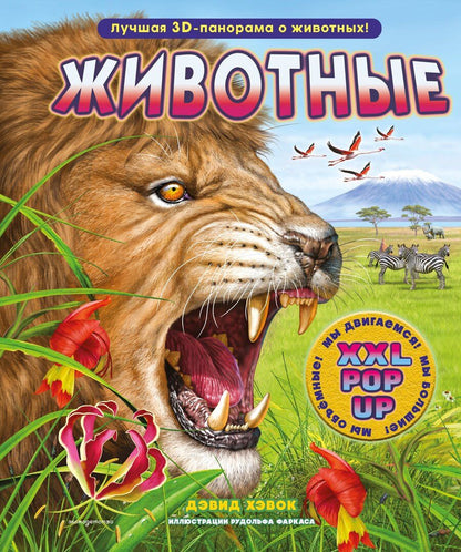Обложка книги "Дэвид Хокок: Животные (3D-энциклопедия с большими объемными pop-up фигурами, подвижными элементами и раскладывающимися панорамами. Подарочное издание)"