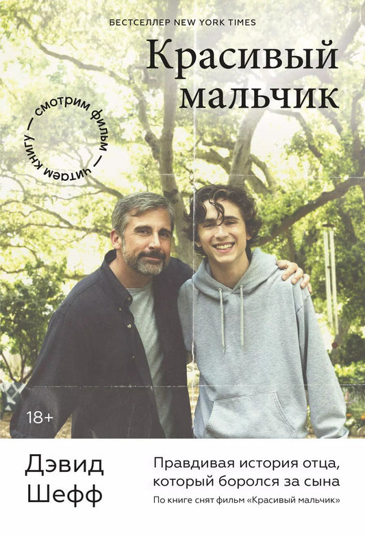 Обложка книги "Дэвид Шефф: Красивый мальчик. Правдивая история отца, который боролся за сына"