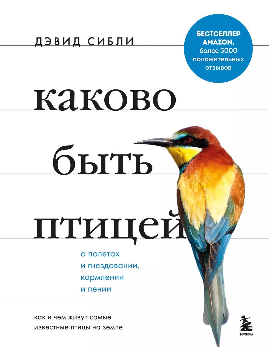 Обложка книги "Дэвид Сибли: Каково быть птицей: о полетах и гнездовании, кормлении и пении. Как и чем живут самые известные птицы на земле"