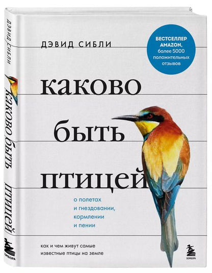 Фотография книги "Дэвид Сибли: Каково быть птицей: о полетах и гнездовании, кормлении и пении. Как и чем живут самые известные птицы на земле"