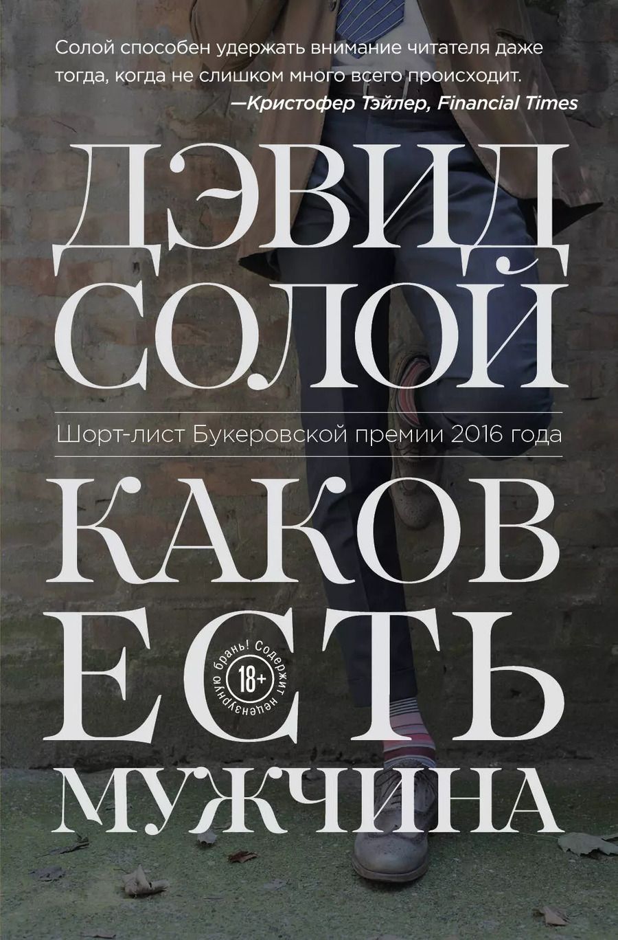 Обложка книги "Дэвид Солой: Каков есть мужчина"