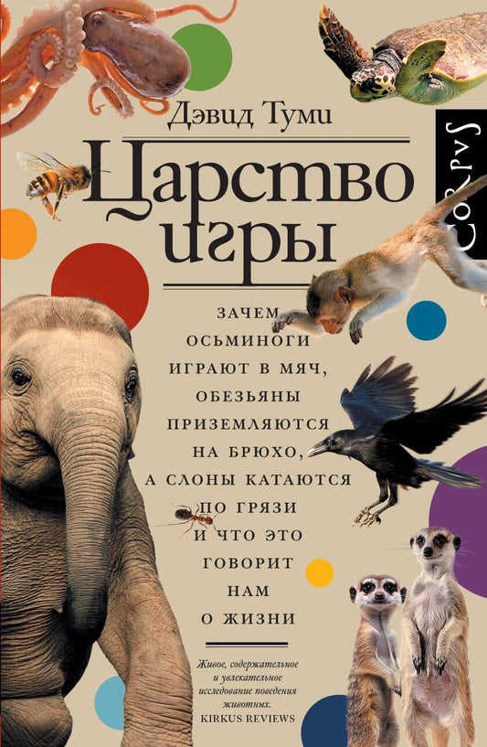 Обложка книги "Дэвид Туми: Царство игры"