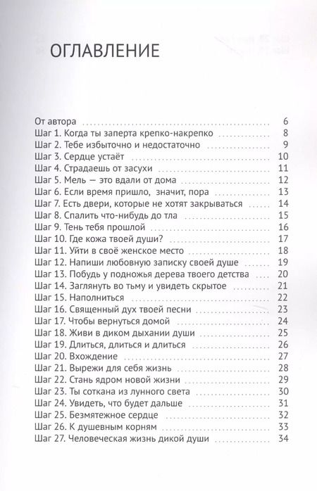 Фотография книги "Дика Кара: 29 шагов. Чтобы выйти из Лабирина"