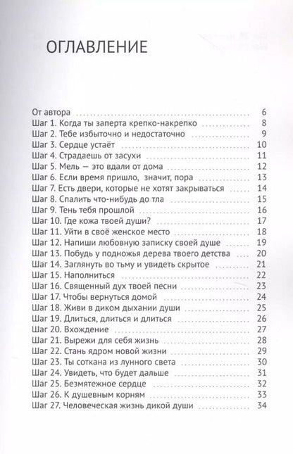 Фотография книги "Дика Кара: 29 шагов. Чтобы выйти из Лабирина"