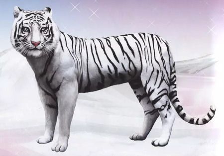 Фотография книги "Дикие кошки"