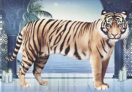 Фотография книги "Дикие кошки"