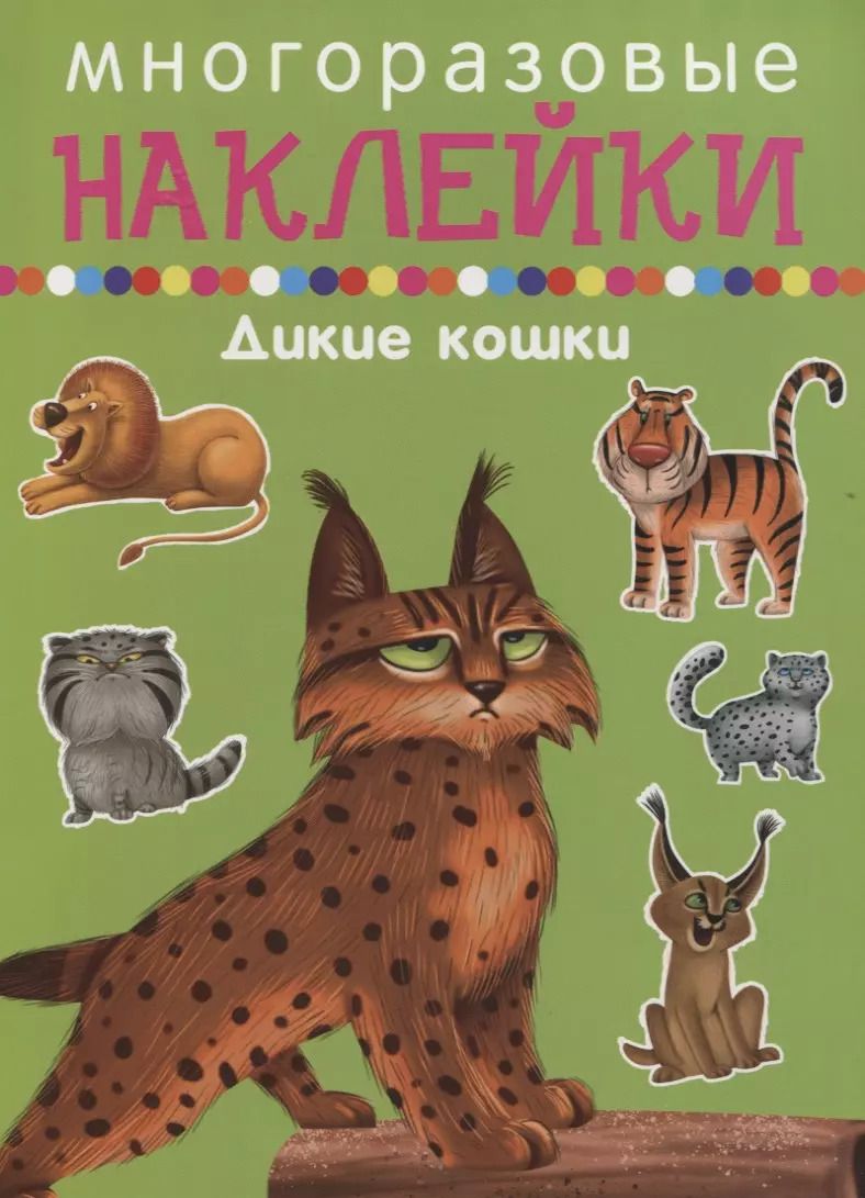 Обложка книги "Дикие кошкин"