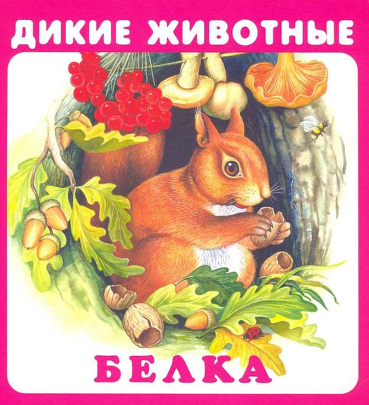 Обложка книги "Дикие животные"