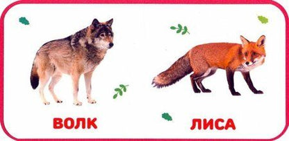 Фотография книги "Дикие животные"