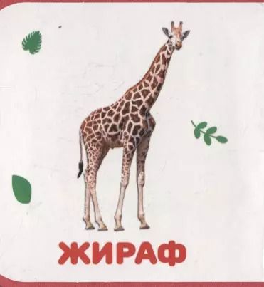 Фотография книги "Дикие животные"