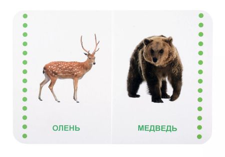 Фотография книги "Дикие животные"