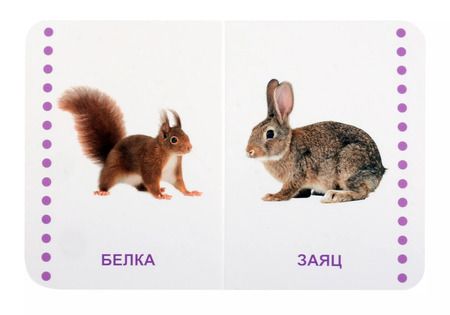 Фотография книги "Дикие животные"