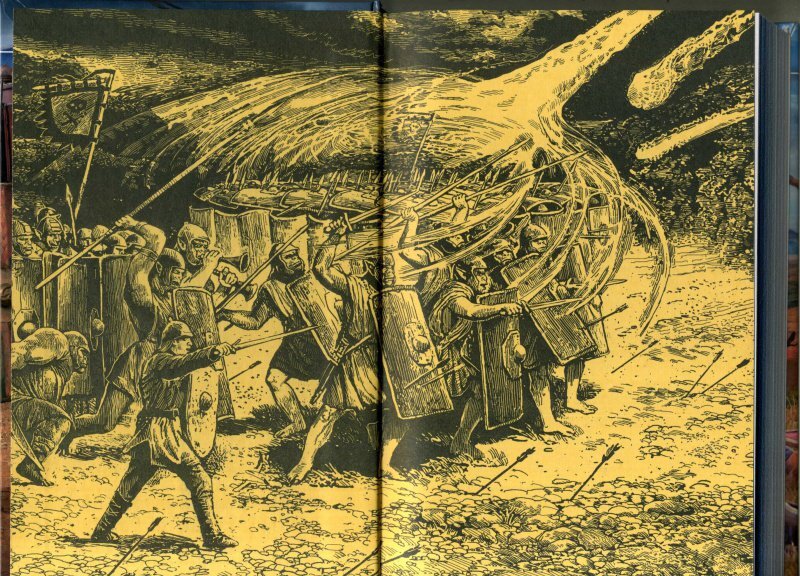 Фотография книги "Дикий легион"