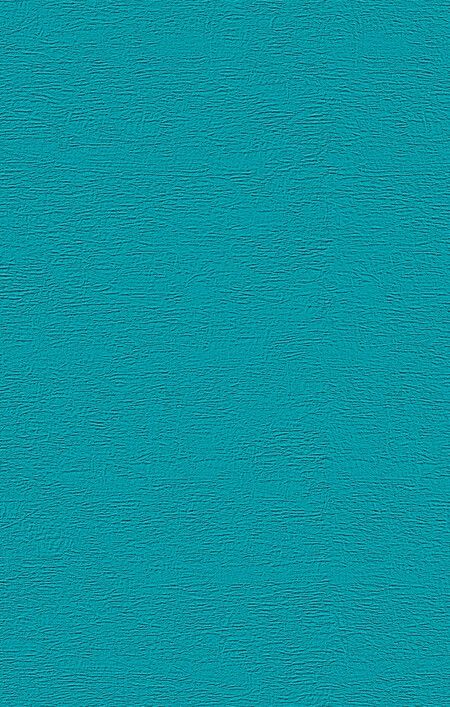 Фотография книги "Дина Рубина: Комплект. Русская канарейка. Желтухин Русская канарейка. Голос Русская канарейка. Блудный сын (комплект)"