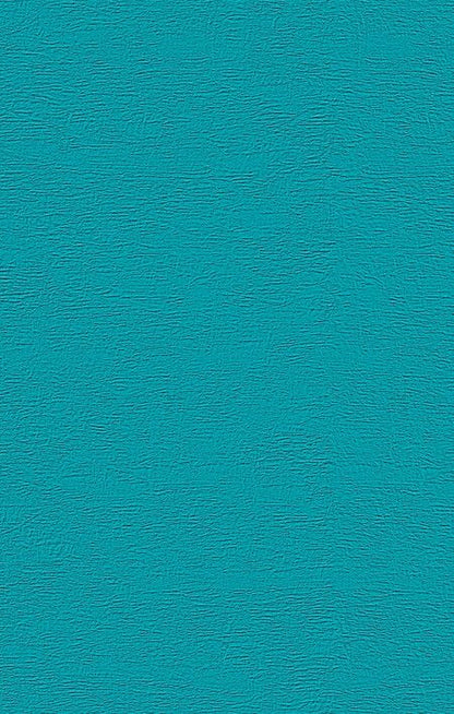 Фотография книги "Дина Рубина: Комплект. Русская канарейка. Желтухин Русская канарейка. Голос Русская канарейка. Блудный сын (комплект)"
