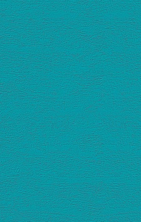 Фотография книги "Дина Рубина: Русская канарейка. Блудный сын: роман"