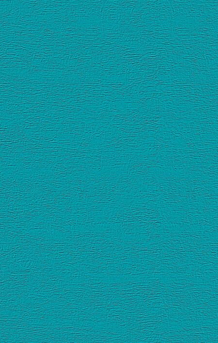 Фотография книги "Дина Рубина: Русская канарейка. Блудный сын: роман"