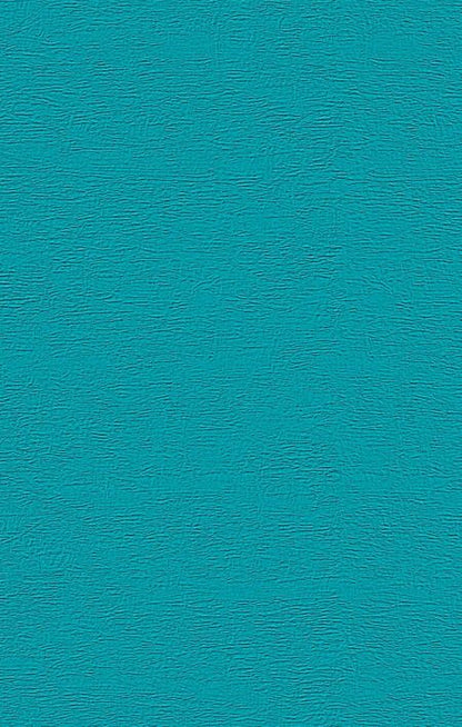 Фотография книги "Дина Рубина: Русская канарейка. Блудный сын: роман"