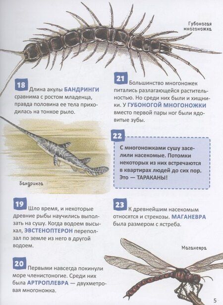 Фотография книги "Динозавры. 250 фактов. Энциклопедия российского школьника"