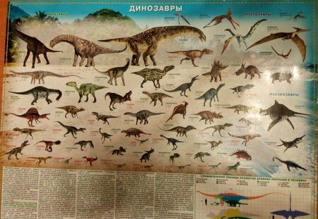 Фотография книги "Динозавры. Настольное издание"