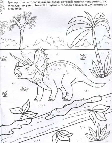 Фотография книги "Динозавры. Развивающие раскраски"