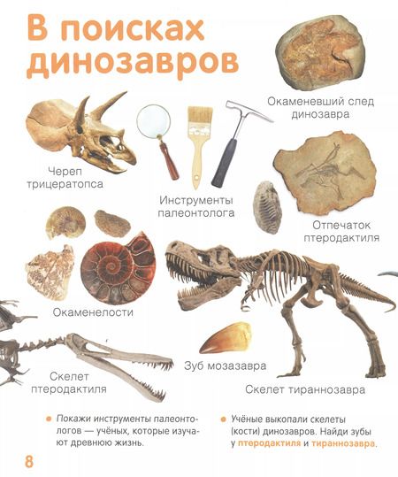 Фотография книги "Динозавры. Твоя первая фотокнига"