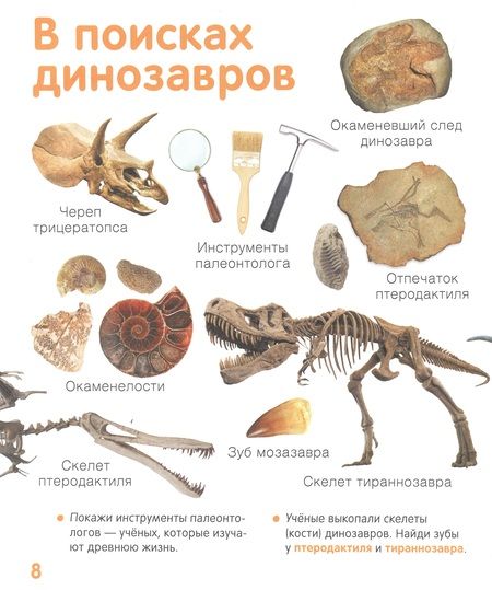 Фотография книги "Динозавры. Твоя первая фотокнига"