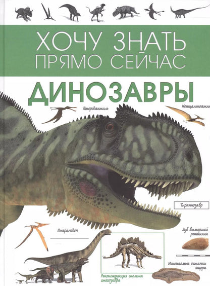 Обложка книги "Динозавры"