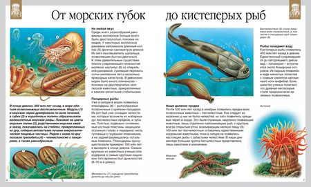 Фотография книги "Динозавры"