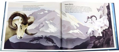 Фотография книги "Дитер Браун: Горы мира"