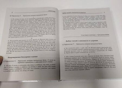 Фотография книги "Дитмар Розенталь: Русский язык на отлично. Упражнения и комментарии"