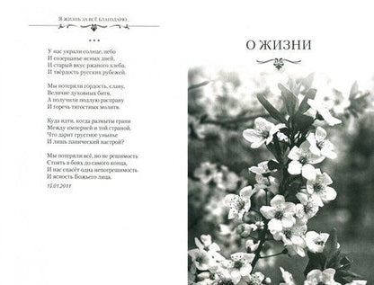 Фотография книги "Дмитриев: Я жизнь за всё благодарю... Духовно-философская лирика"