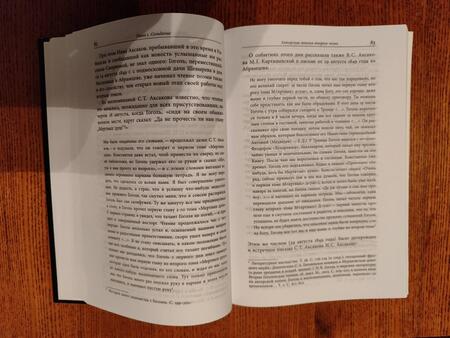 Фотография книги "Дмитриева: Второй том Мертвых душ. Замыслы и домыслы"